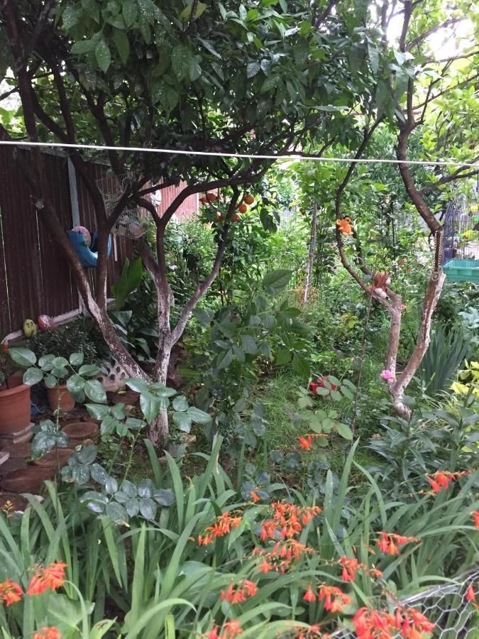 Гостевой дом Zarzma Кутаиси-7